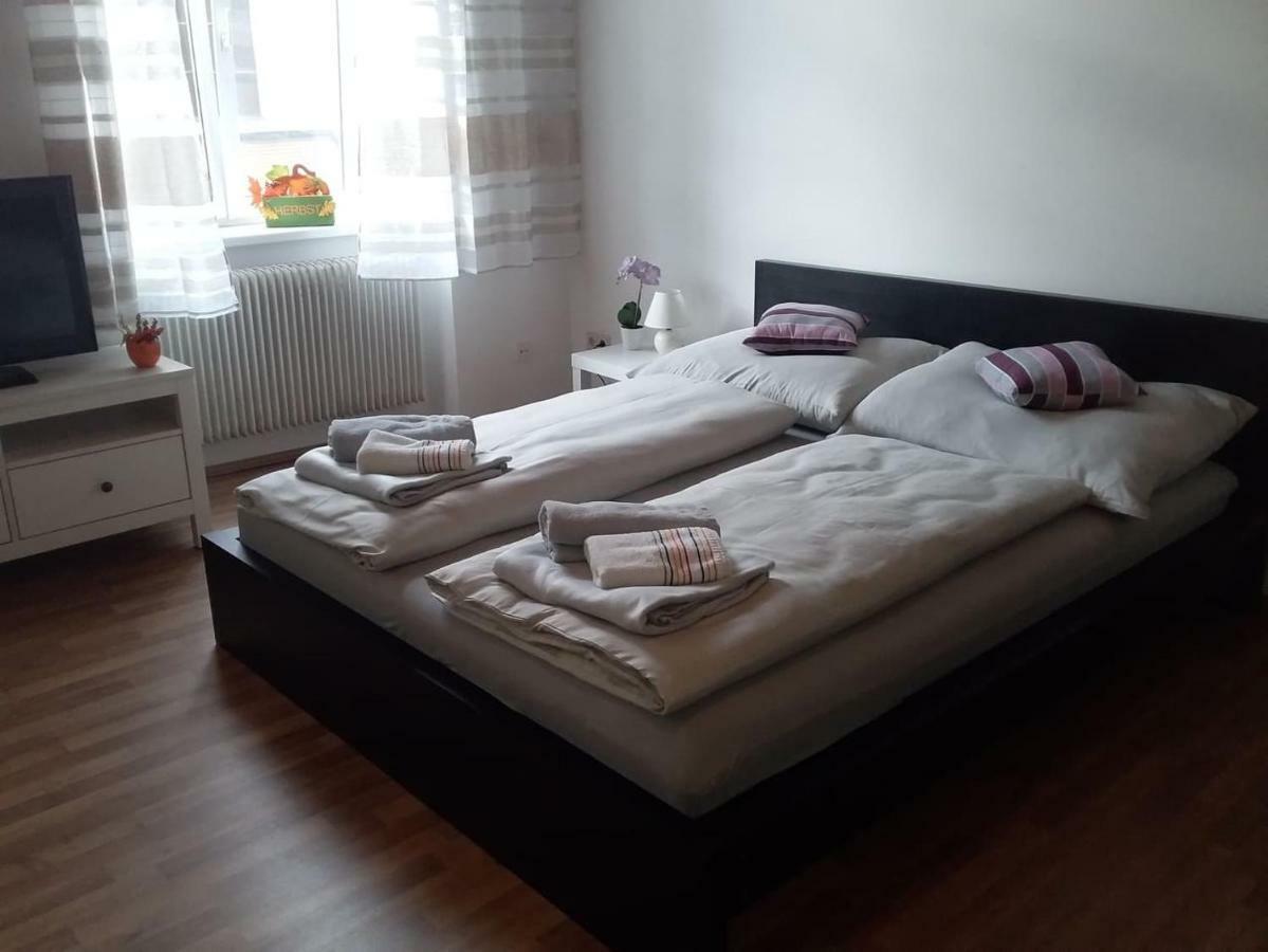 Apartament Alser *
